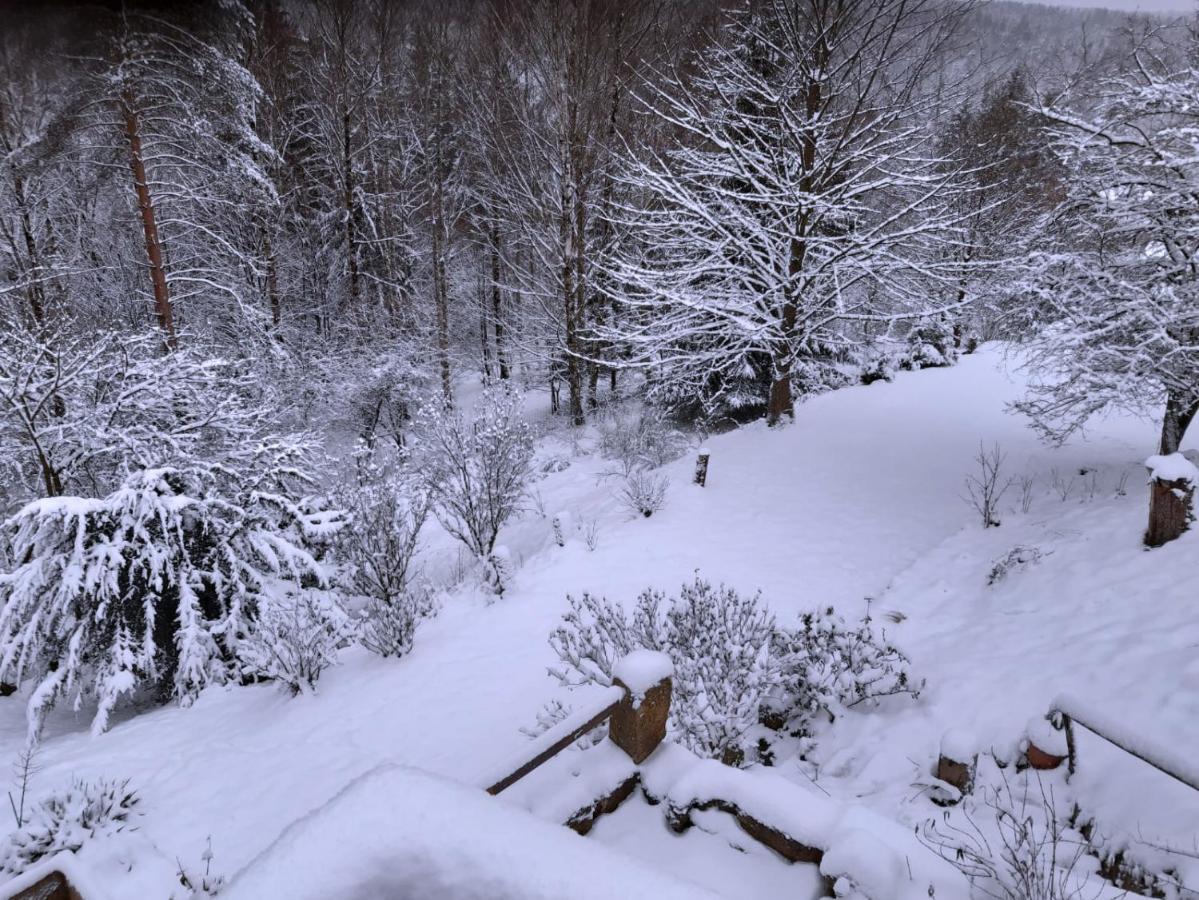 Wellness Chaloupka Mezna - Narodni Park Ceske Svycarsko Villa Hrensko Bagian luar foto
